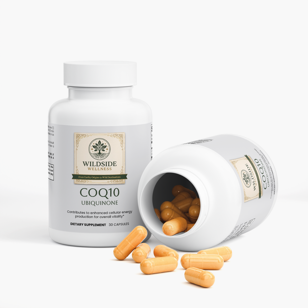 CoQ10 Ubiquinone